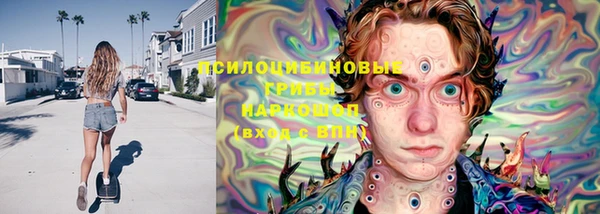 a pvp Тобольск
